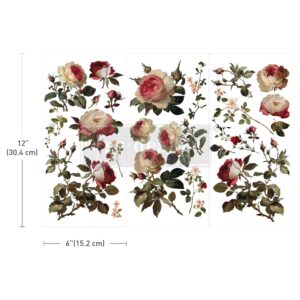 SMALL TRANSFERS – MIDNIGHT ROSE